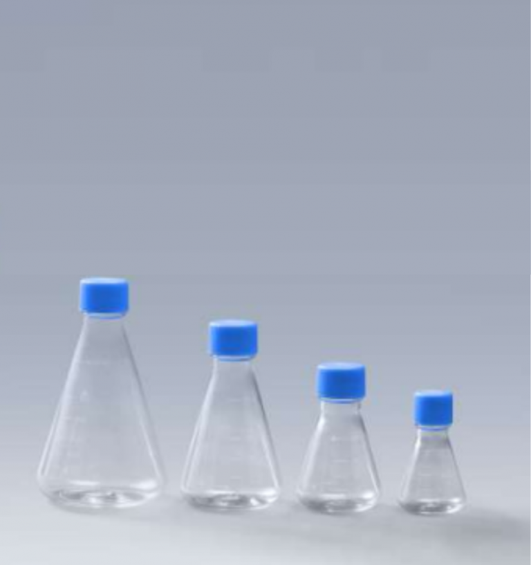 Conical Erlenmeyer Flask GVS Malaysia