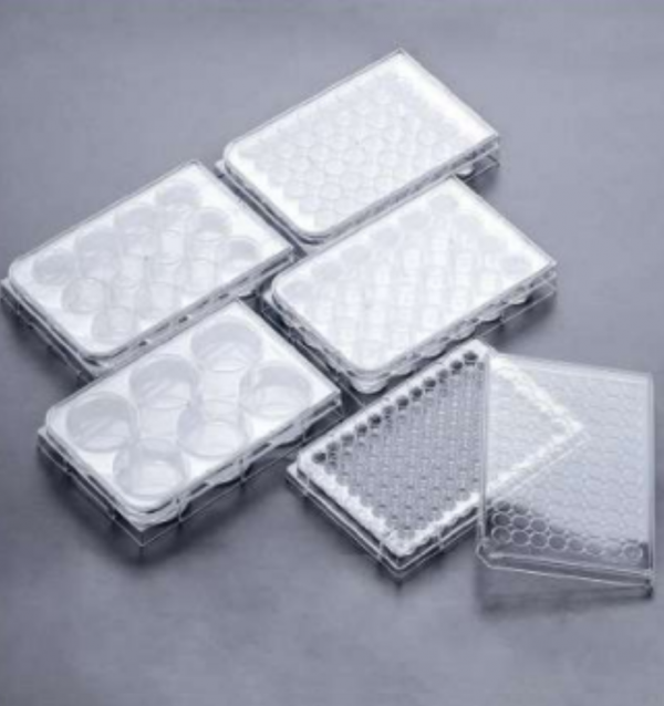 Clear plastic laboratory plates used with syringe filters.