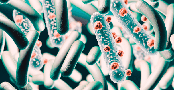 Close-up view of bacteria, highlighting the need for effective bacterial filters.