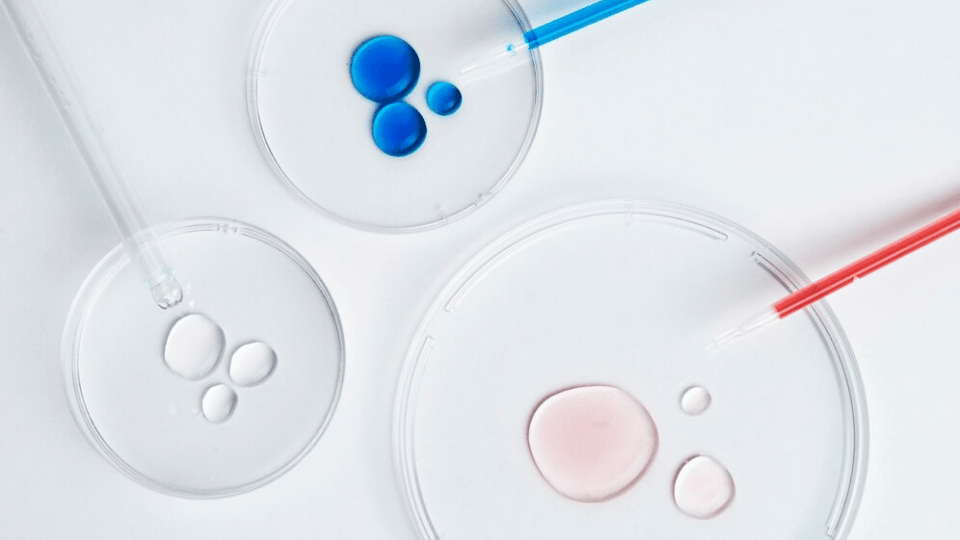 Microbial count plates with liquid samples and droppers for laboratory testing.